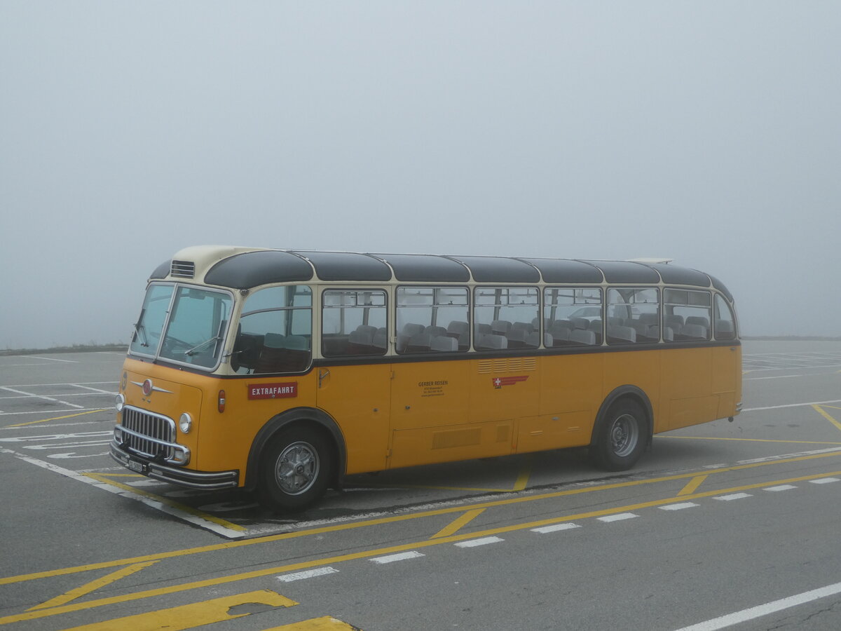 (240'277) - Gerber, Matzendorf - SO 50'805 - FBW/R&J (ex Kontiki, Wettingen; ex P 24'001; ex P 21'501) am 25. September 2022 in Grimsel, Passhhe