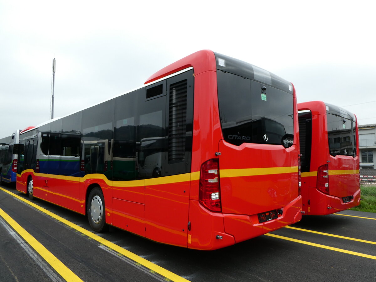 (241'596) - AS Engi - (142'628) - Mercedes am 20. Oktober 2022 in Winterthur, EvoBus