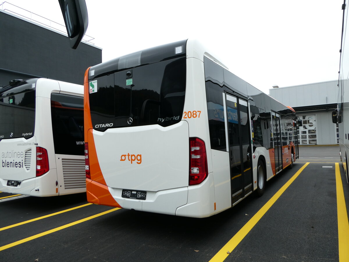 (241'602) - Globe-Limo, Genve - Nr. 2087 - Mercedes am 20. Oktober 2022 in Winterthur, EvoBus