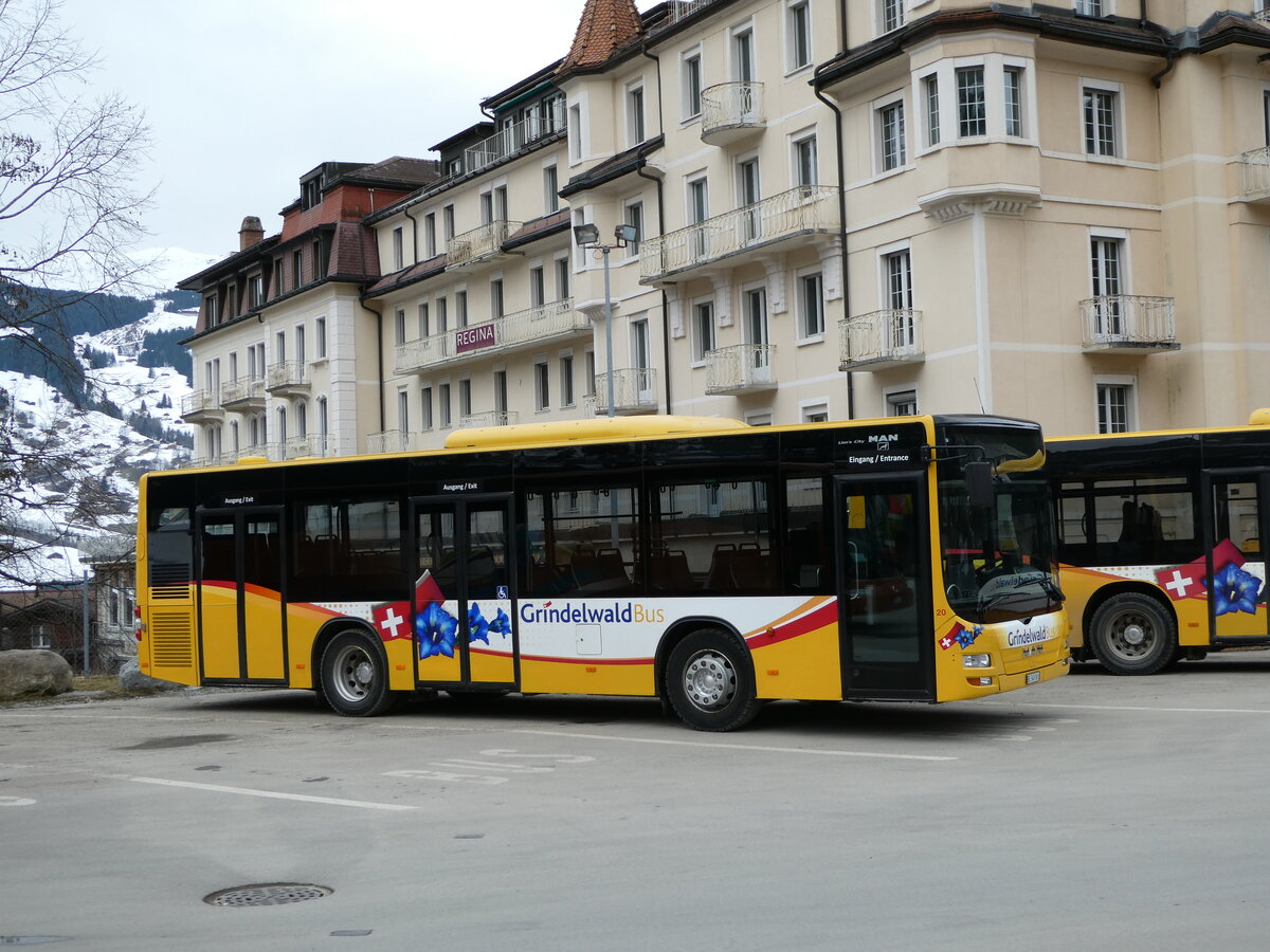 (246'233) - Grindelwaldbus, Grindelwald - Nr. 20/BE 349'361 - MAN/Gppel am 17. Februar 2023 beim Bahnhof Grindelwald