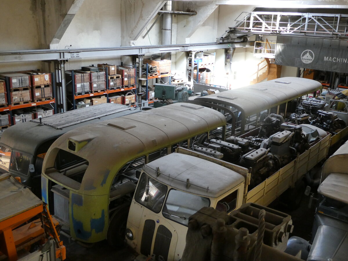 (247'369) - VBZ Zrich (OCS) - Nr. 553 - Saurer/Saurer (ex Nr. 201) am 17. Mrz 2023 in Arbon, Saurermuseum Depot (1. Gelenkautobus der Schweiz!)