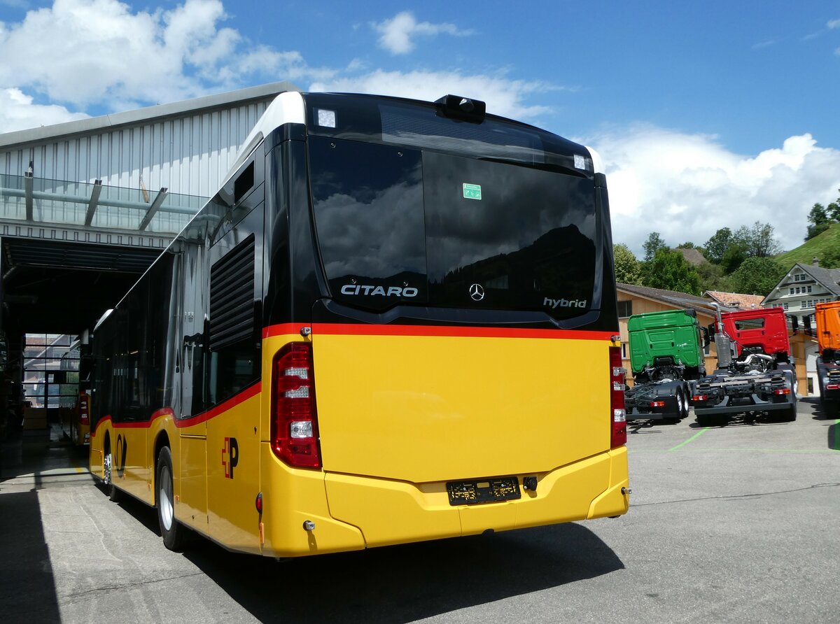 (252'330) - PostAuto Bern - PID 11'947 - Mercedes am 4. Juli 2023 in Nesslau, Altherr