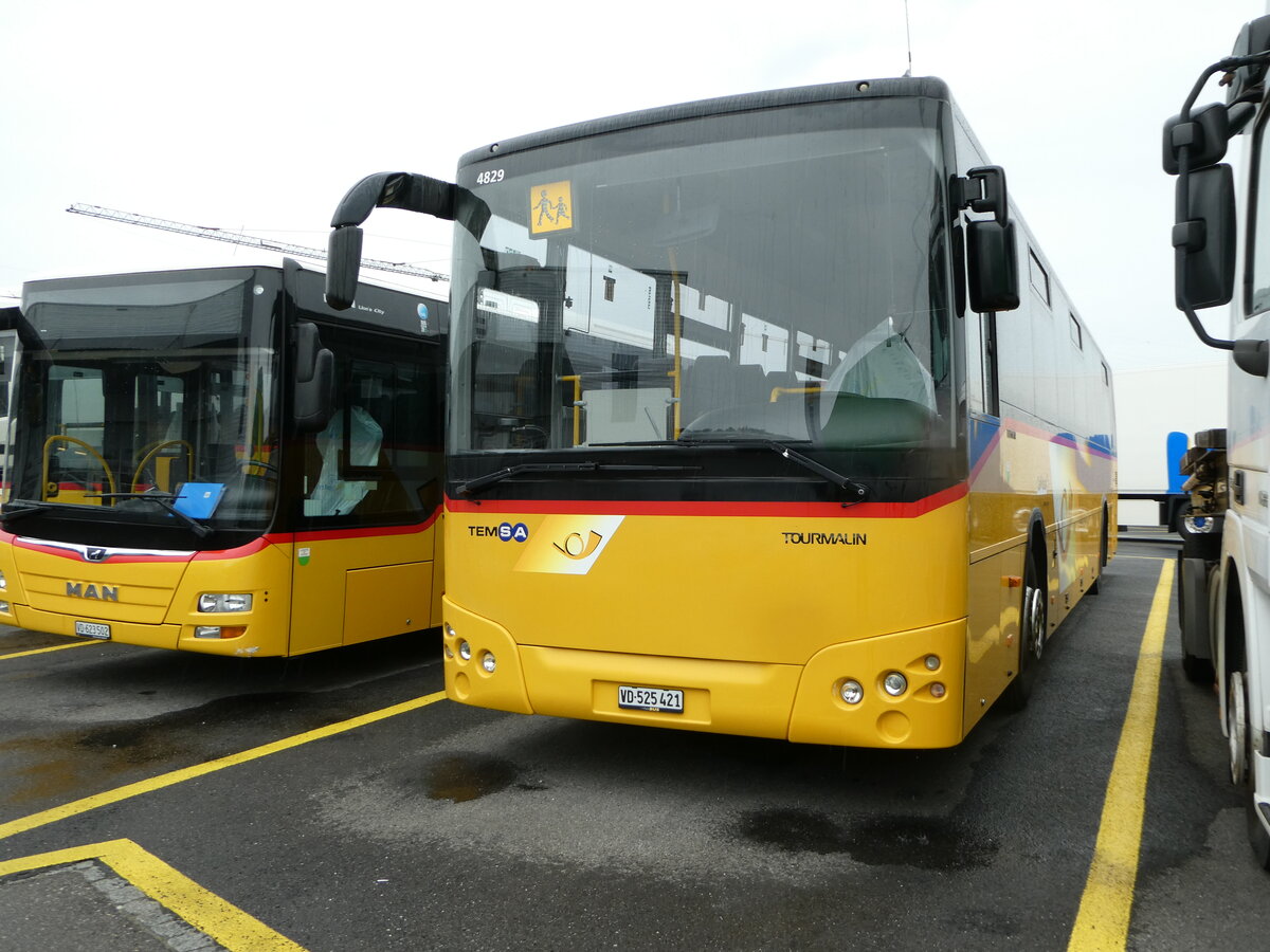 (253'149) - CarPostal Ouest - VD 525'421/PID 4829 - Temsa am 29. Juli 2023 in Kerzers, Interbus