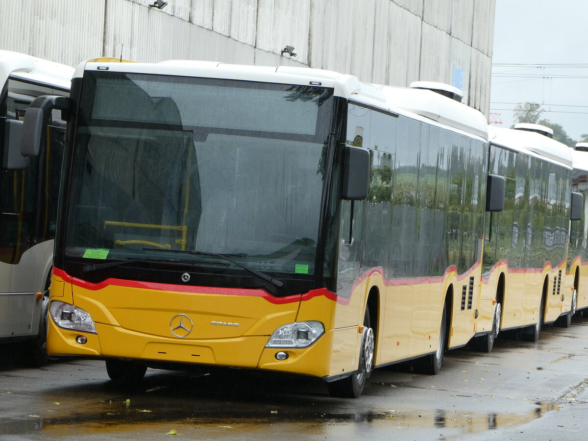 (253'513) - Buchard, Leytron - (617'943) - Mercedes am 6. August 2023 in Winterthur, EvoBus