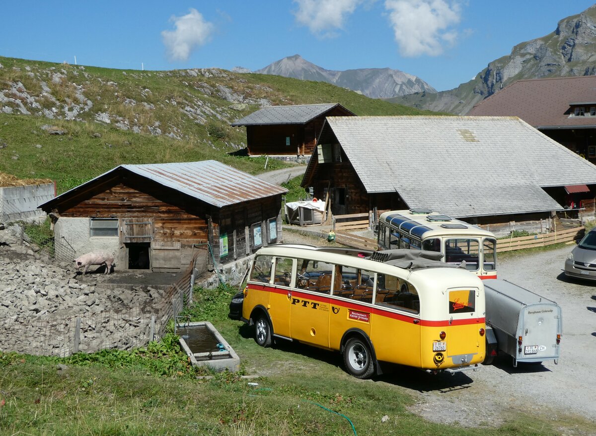 (255'068) - Schmid, Thrishaus - Nr. 3/BE 26'760 - Saurer/Gangloff (ex Geiger, Adelboden Nr. 3) am 10. September 2023 auf der Bundalp