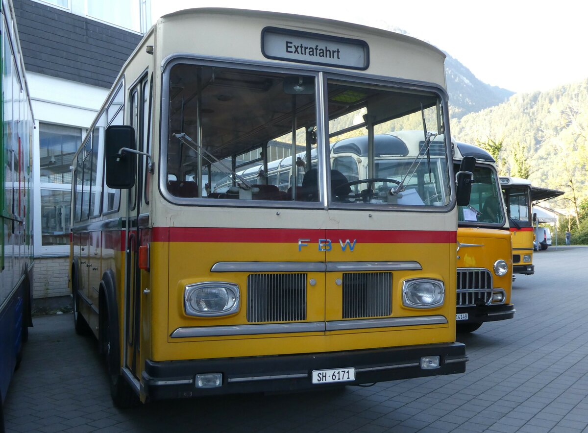 (255'894) - Schpfer, Hemmental - SH 6171 - FBW/FHS (ex Ruch, Schaffhausen; ex Niederer, Grub; ex Baumgartner, Horn; ex Bucheli, Kriens Nr. 9; ex Bucheli, Kriens Nr. 16) am 7. Oktober 2023 in Nfels, FBW-Museum