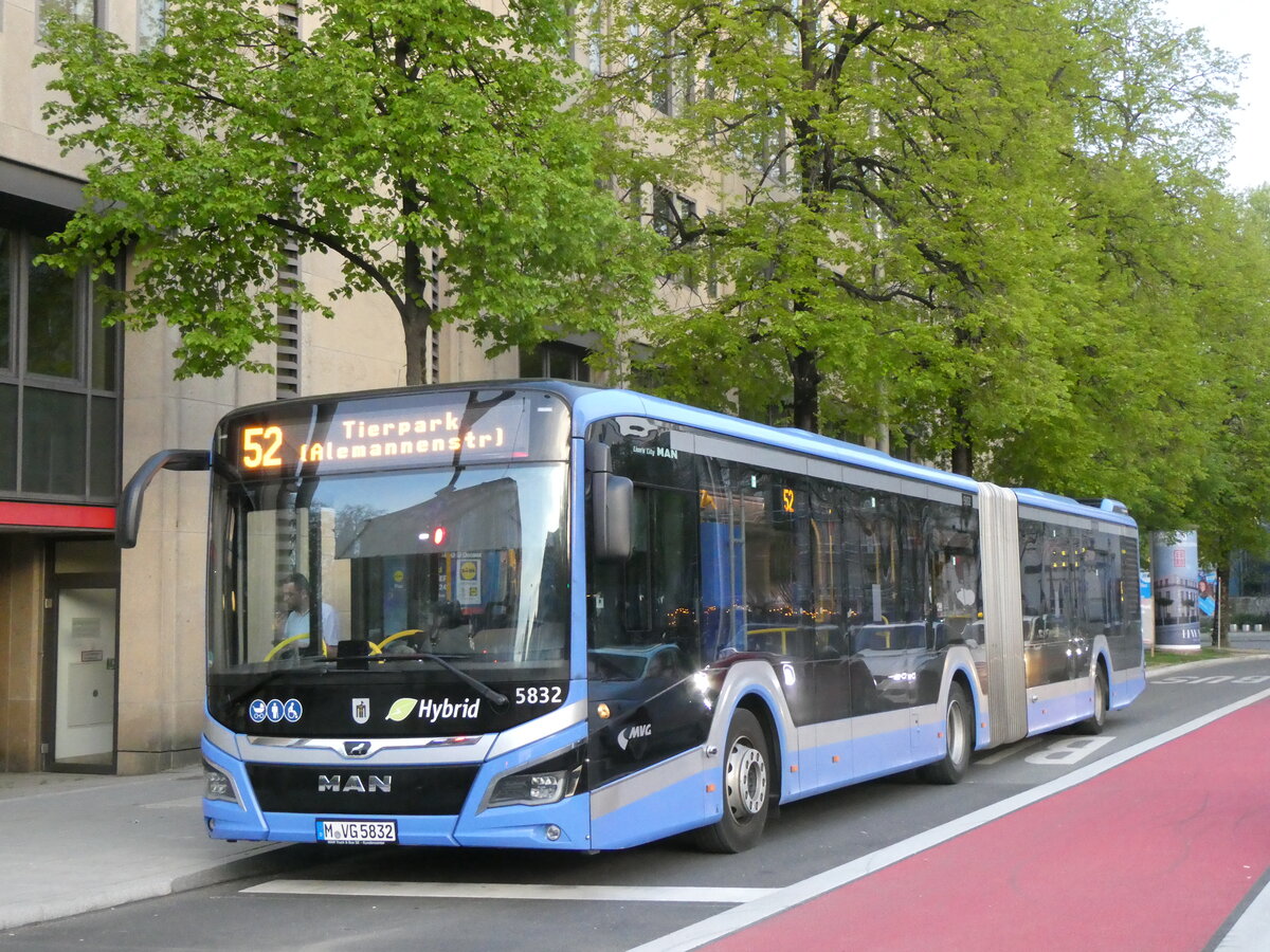 (261'291) - MVG Mnchen - Nr. 5832/M-VG 5832 - MAN am 13. April 2024 in Mnchen, Sendlinger Tor