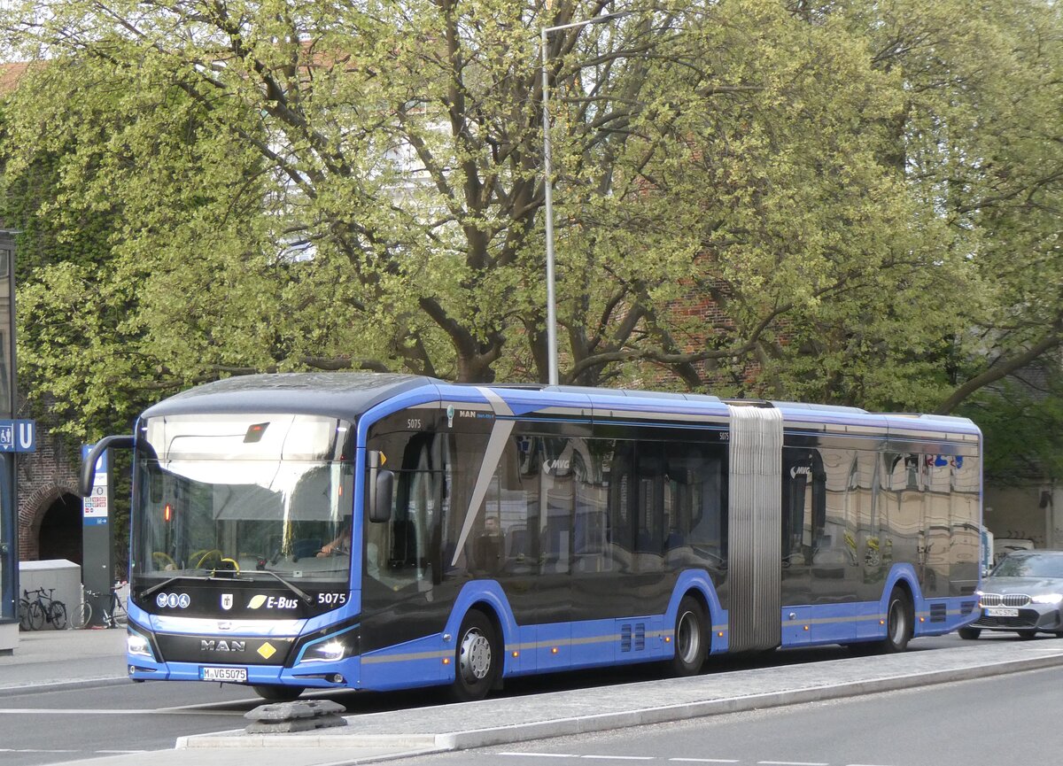 (261'435) - MVG Mnchen - Nr. 5075/M-VG 5075 - MAN am 14. April 2024 in Mnchen, Sendlinger Tor