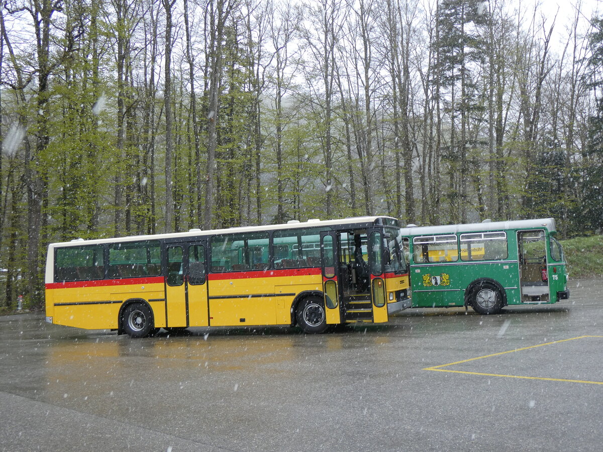 (261'599) - Widmer, Bern - BE 842'322 - NAW/Hess (ex Lombardi, Winterthur; ex Wohlgemuth, Hochwald PID 2208)