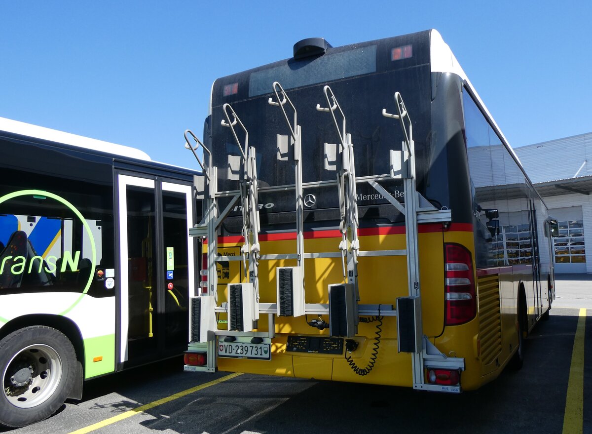 (262'284) - CarPostal Ouest - VD 239'731/PID 5719 - Mercedes (ex Faucherre, Moudon) am 11. Mai 2024 in Kerzers, Interbus