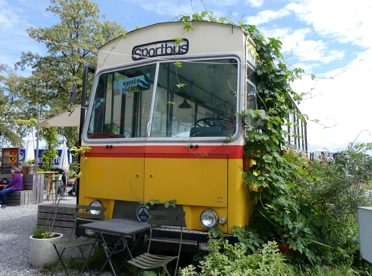 (262'957) - Ildtimer Club Saurer, Arbon - Saurer/Tscher-R&J (ex Heim, Flums; ex P 25'208; ex P 24'662) am 25. Mai 2024 in Arbon, Saurermuseum