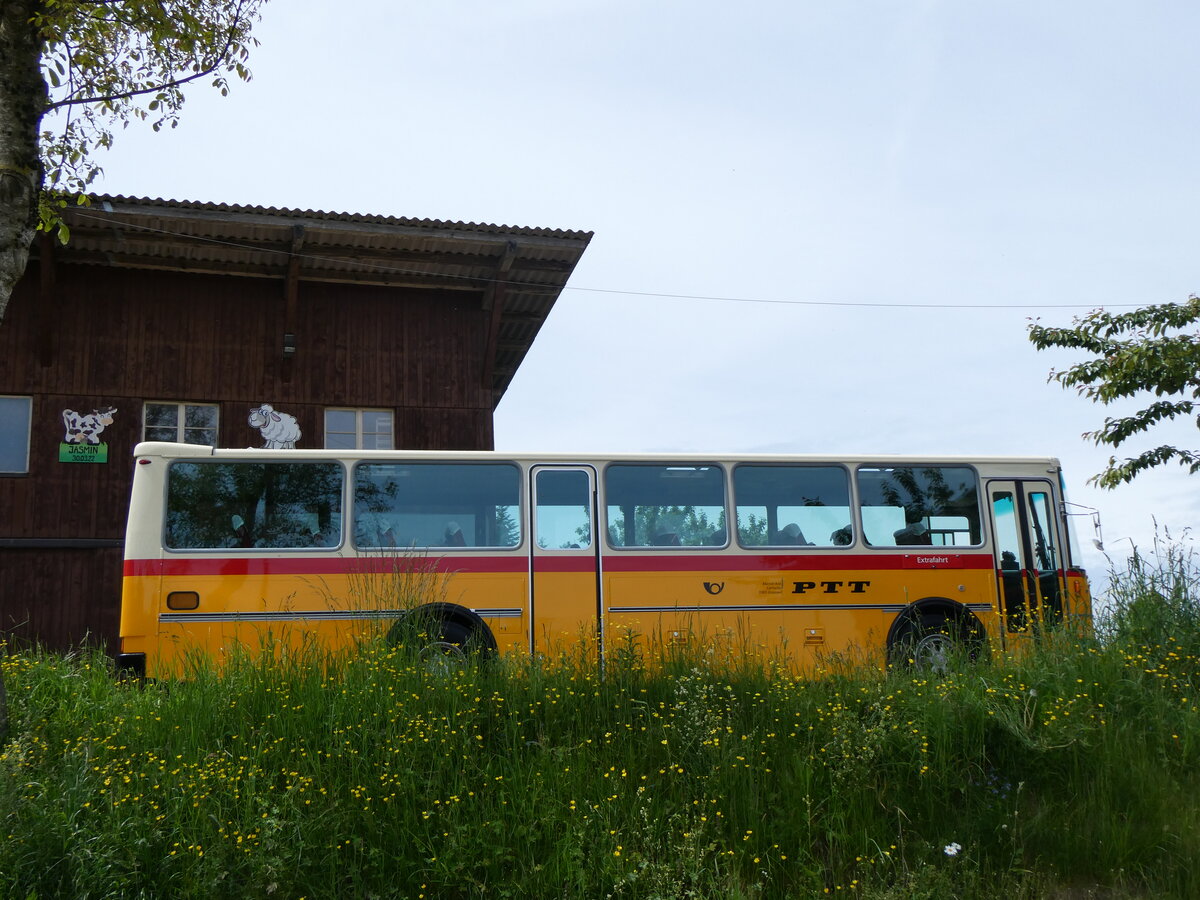 (263'181) - Kolb, Grasswil - Nr. 3/BE 93'915 - Saurer/R&J (ex Schmocker, Stechelberg Nr. 3/PID 2409; ex Schmocker, Stechelberg Nr. 1; ex Gertsch, Stechelberg Nr. 1) am 26. Mai 2024 in Drrenroth, Horn