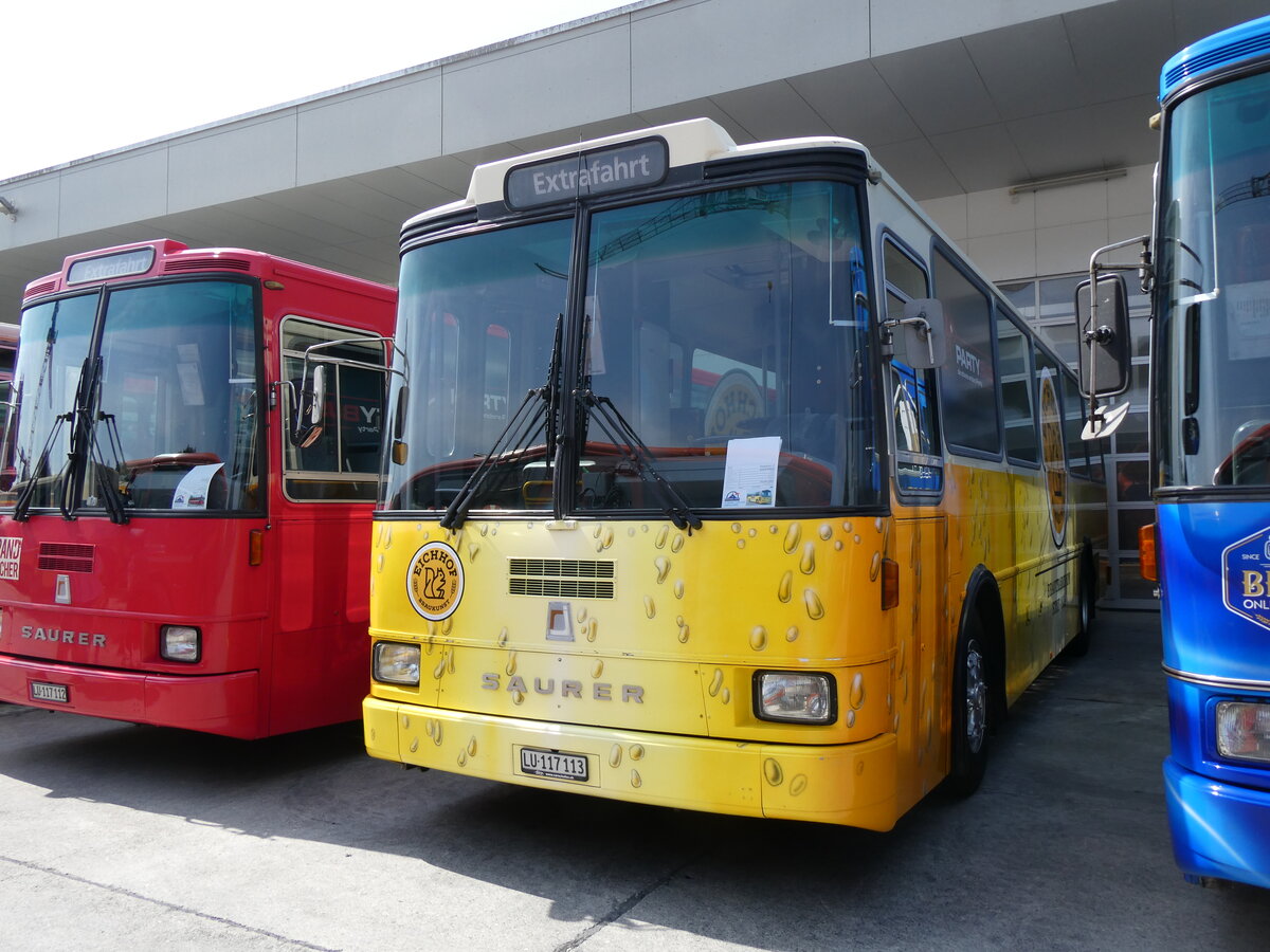 (266'442) - Party-Bus, Grosswangen - LU 117'113 - Saurer/R&J (ex Stirnimann, Neuenkirch Nr. 42) am 31. August 2024 in Oberkirch, CAMPUS Sursee