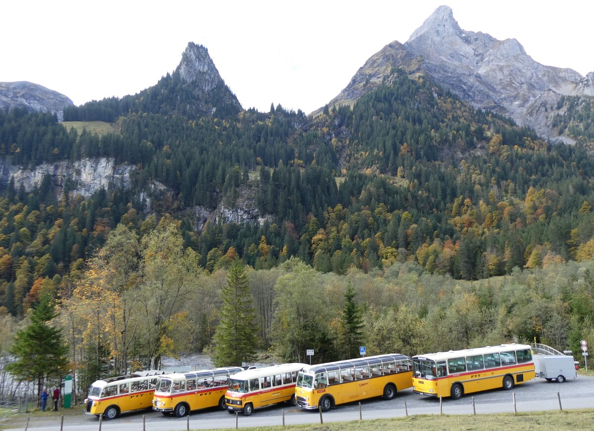 (268'043) - Schmid, Thrishaus - BE 26'206 - Saurer/Tscher (ex P 24'244) am 12. Oktober 2024 in Kiental, Tschingelsee