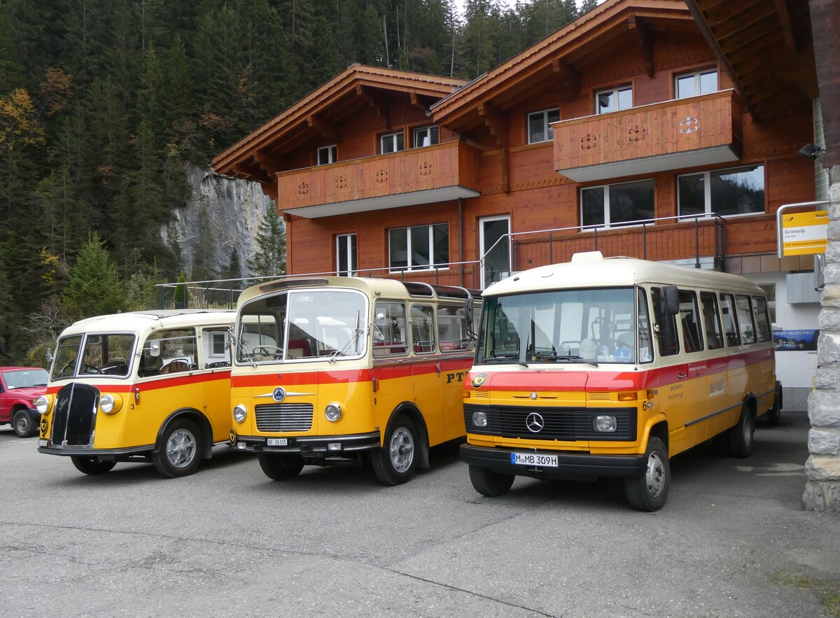 (268'139) - Aus Deutschland: Hahn, Mnchen - Nr. 6/M-MB 309H - Mercedes (ex Mller, CH-Ennetmoos Nr. 6; ex Portenier, CH-Adelboden Nr. 6; ex Geiger, CH-Adelboden Nr. 6) am 12. Oktober 2024 auf der Griesalp