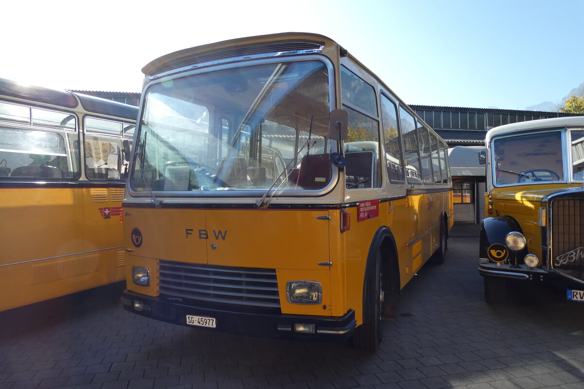 (281'629) - Regg, Rti - SG 45'977 - FBW/Gangloff (ex P 24'169) am 18. Oktober 2025 in Nfels, FBW-Museum