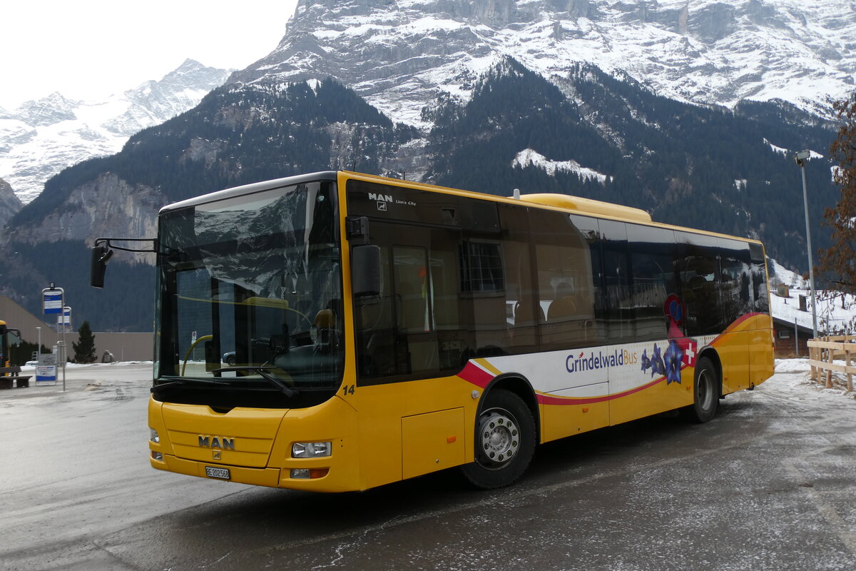 (283'641) - GrindelwaldBus, Grindelwald - Nr. 14/BE 202'568 - MAN/G�ppel am 2. Januar 2026 beim Bahnhof Grindelwald