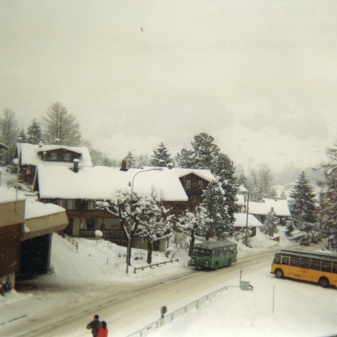 (7-07) - Aus dem Archiv: AFA Adelboden - Nr. 2/BE 263'015 - FBW/FHS (ex BVB Basel Nr. 51) im Februar 1988 in Adelboden, Landstrasse