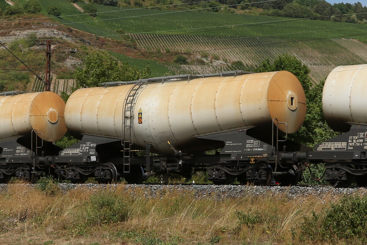 7841 177 (Zacns) von  ATIR-Tail  am 5. August 2022 bei Thngersheim.