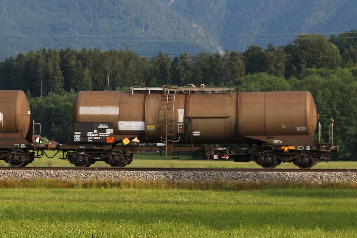 7841 829 (Zacns) von  WASCOSA  am 10. Juni 2021 bei bersee.