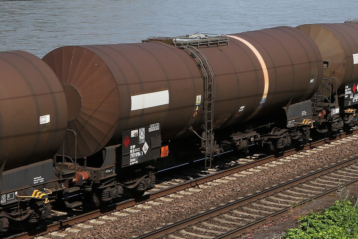 7931 016 (Zacens) von  WASCOSA  am 21. Juli 2021 bei Assmannshausen.