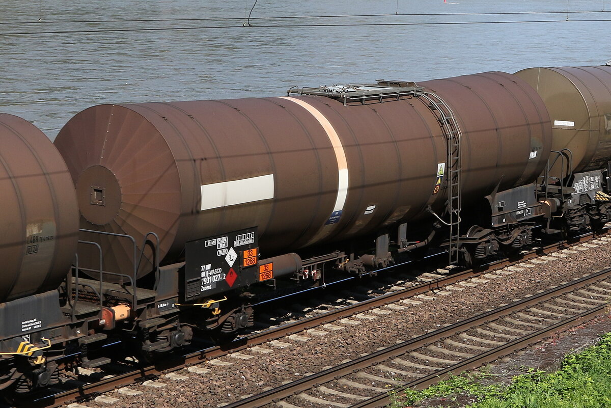 7931 027 (Zacens) von  WASCOSA  am 21. Juli 2021 bei Assmannshausen.