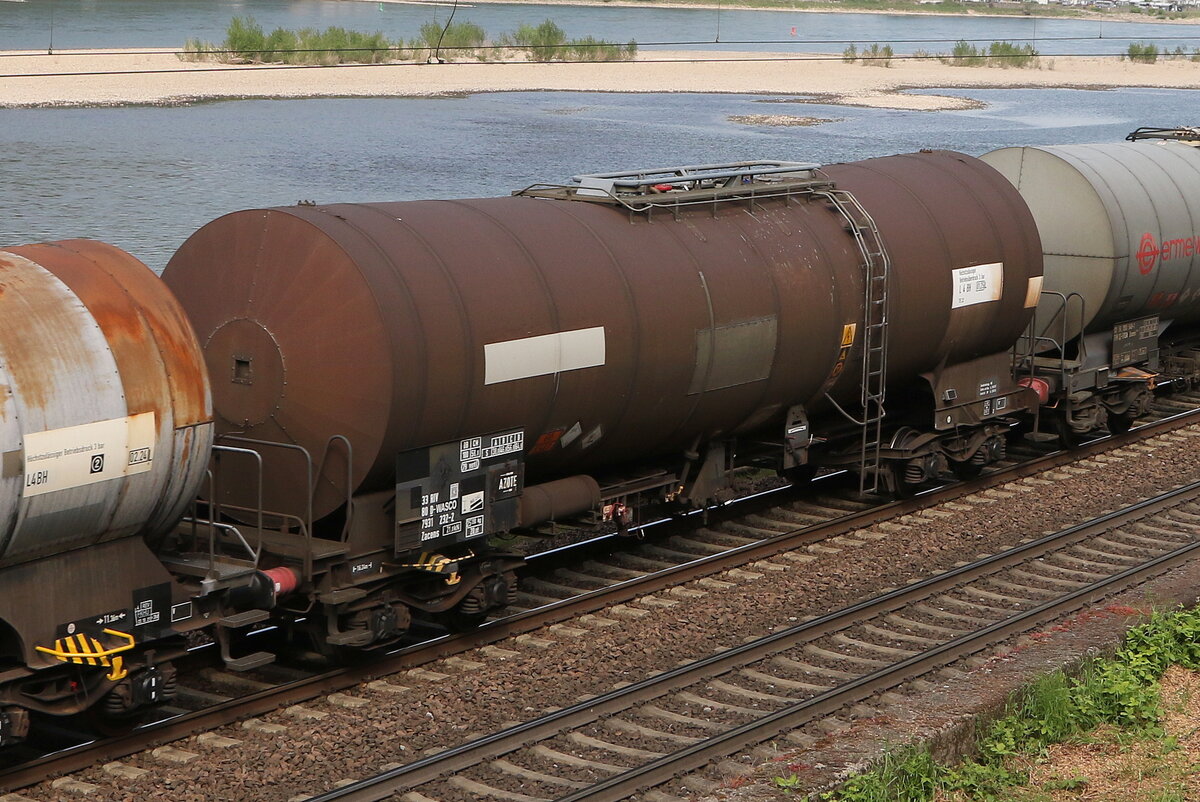 7931 232 (Zacens) von  WASCOSA  am 3. Mai 2022 bei Assmannshausen.