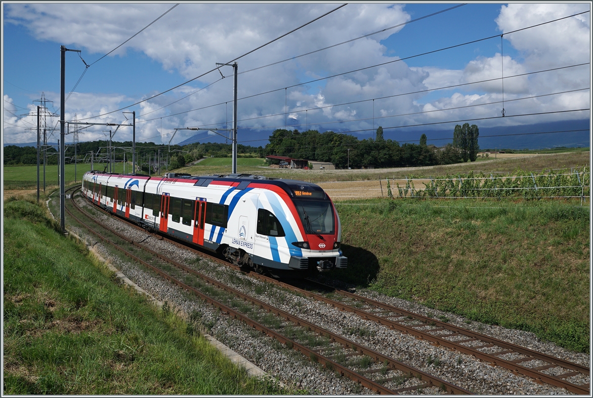 An der selben Stelle, bei besserem Licht, aber durch den hohen Sonnenstand nicht ideal, der SBB LEX RABe 522 215 als Léman Express SL5 auf der Fahrt nach Genève. 

Bei Satigny, den 2. August 2021