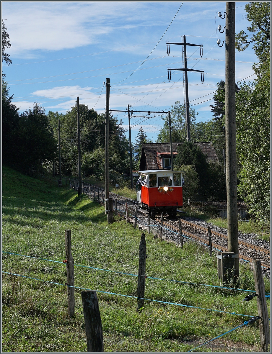 Autour de la voie ferrée / Rund um die eiserne Bahn (Herbstevent 2024) -  Der kleine Star des Tages die Dm 2/2 N° 3  Le Biniou  des Réseau Breton (RB) ist auf der Fahrt von Chaulin nach Blonay und erreicht Cornaux. 

7. Sept. 2024