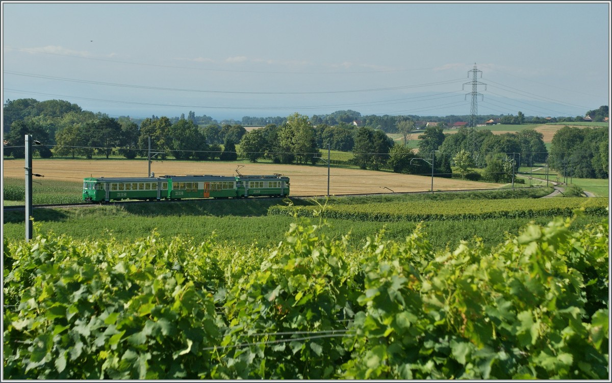 BAM Regionalzug 113 bei Vufflens le Chteau auf der Fahrt Richtung Morges.
15. August 2013