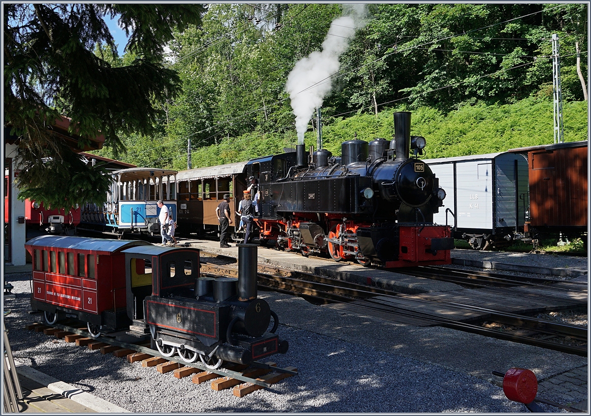 Blonay-Chamby Museumbahn, für Gross und Klein! 

Chaulin, Museum, den 21. Juni 2020
