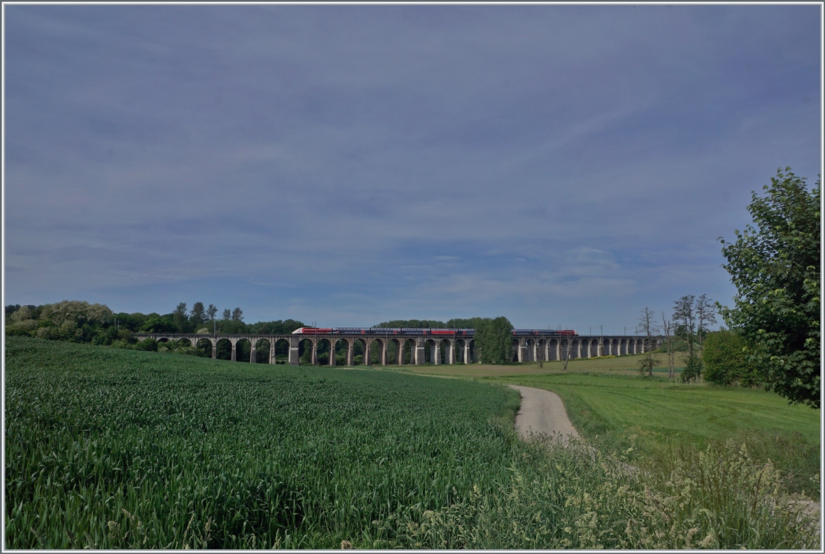 Der Lyria TGV 9203 von Paris nach Zürich überquert kurz nach Dannemarie den 380 Meter langen Viaduc de Ballerdorf. Der Viadukt wurde 1857 gebaut und verband Dannemarie mit Basel.

19. Mai 2022