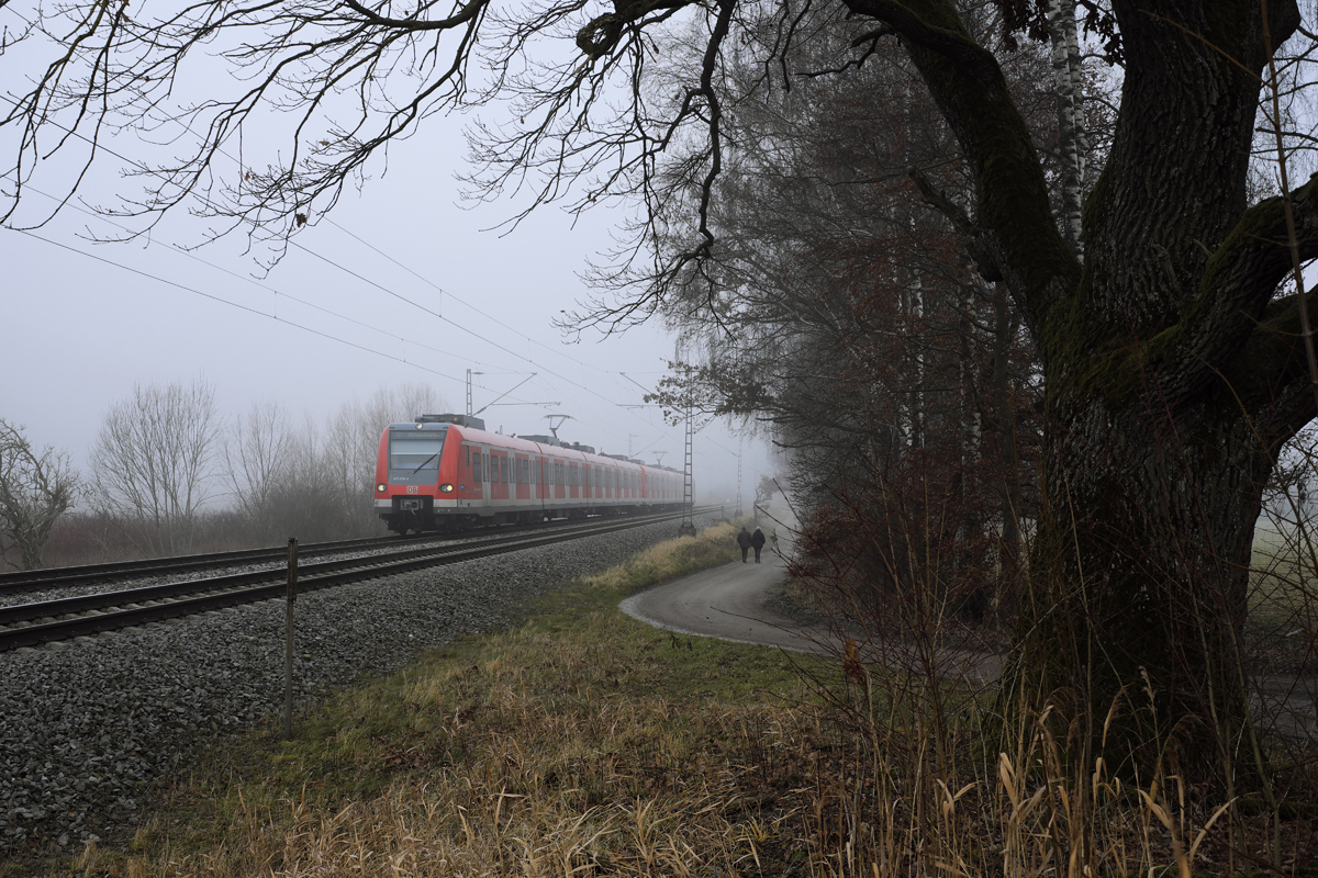 Der Nebel in Südbayern am ersten Weihnachtsfeiertag 2017 lichtete sich um die Mittagszeit genau bis zum Südrand von Poing. An der Strecke blieb er jedoch fast komplett erhalten. Dennoch lud das trockene Wetter zum Spaziergang ein, wie es ein Ehepaar gerade tat, als am Rande des Poinger Wildparks 423 078-5 als S2 nach Altomünster gerade entlangfuhr.