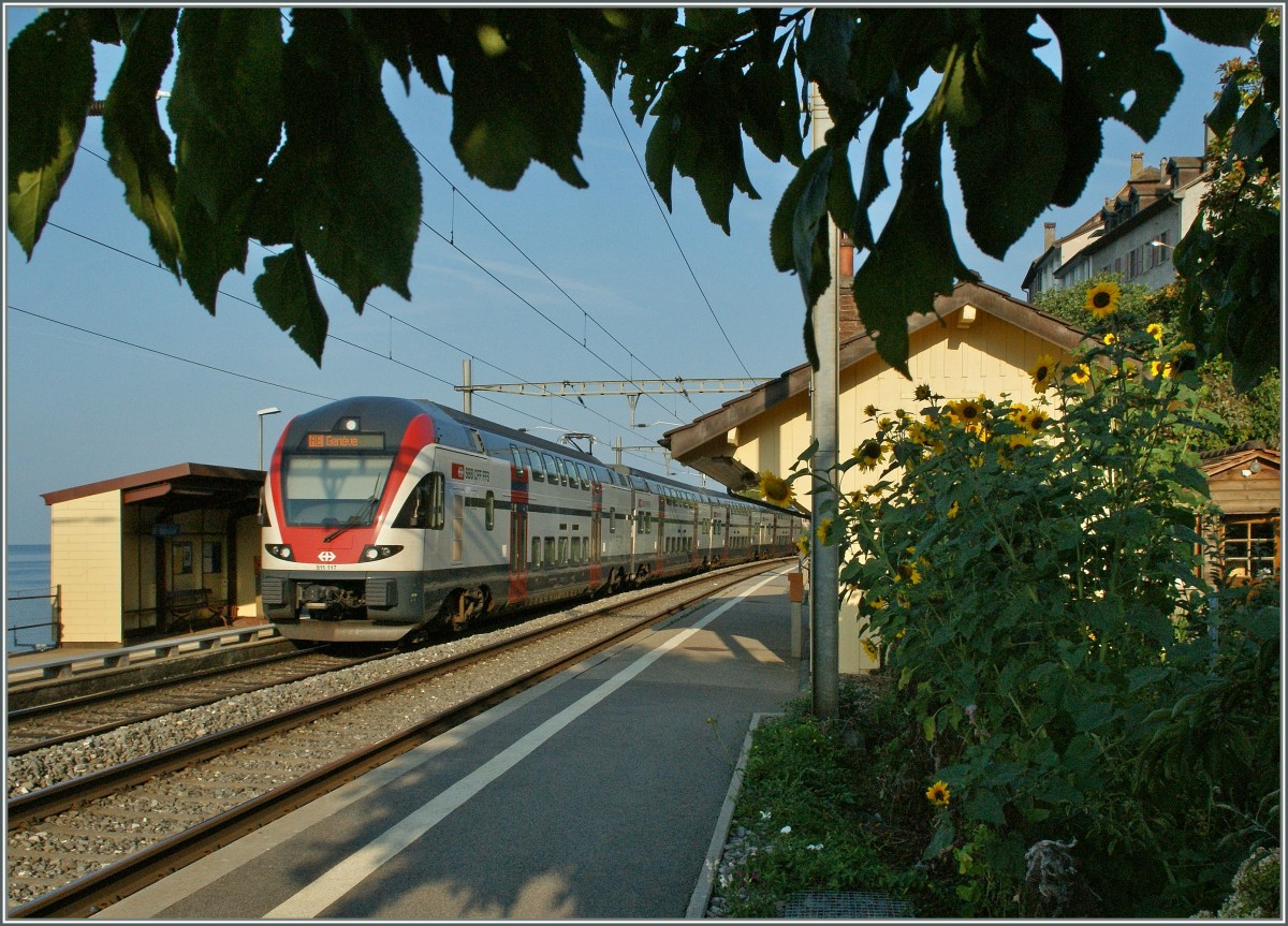 Der RABe 511 117 auf der Fahrt nach Genve, die Bltter am oberen Bildrand tarnen die  abgeschnitten  Fahrleitungsmaste.
31. August 2013