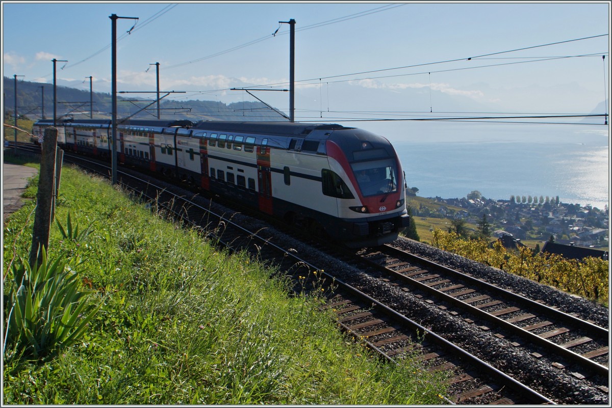 Der RABe 511 120 von Romont nach Genève bei Grandvaux.
23. Okt. 2014