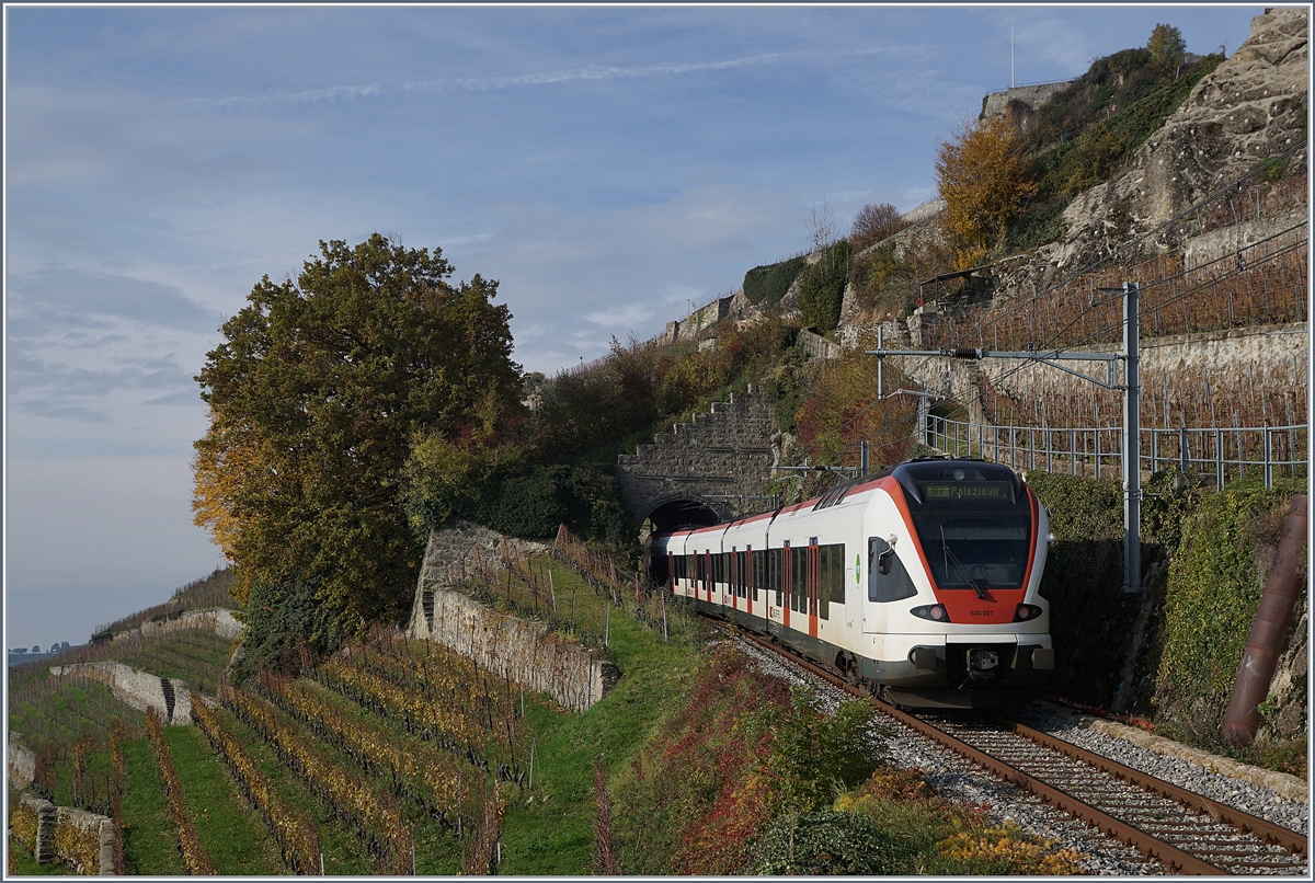 Der SBB Flirt RABe 523 027 ist auf der  Train des Vignes  Strecke zwischen Vevey und Chexbres Villages unterwegs und fährt gerade in nur 20 Meter langen Salanfe Tunnel oberhalb von St-Saphorin ein. 

24. Nov. 2019