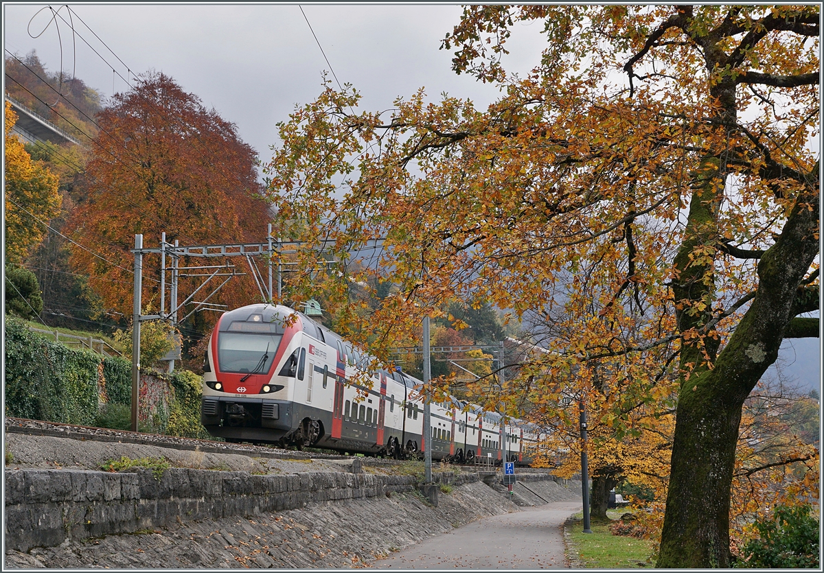 Der SBB RABe 511 026 ist als RE von St-Maurice nach Annemasse am von bunten Bäumen gesäumten Genfersee kurz nach Villeneuve unterwegs.- 

3. Nov. 2020