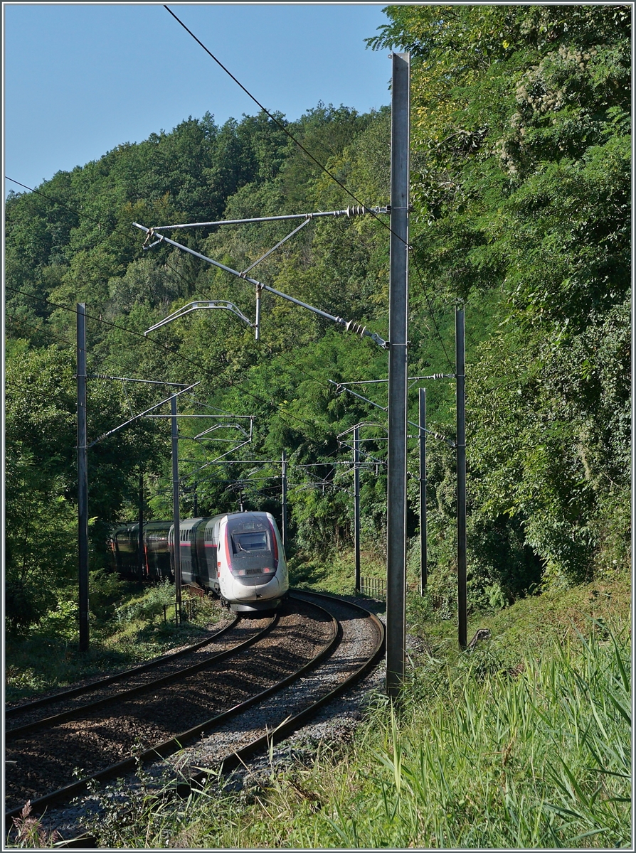 Der TGV Lyria 9768 auf der Fahrt von Lausanne nach Paris bei der Fahrt durch den Wald zwischen La Plaine und Pougny-Chancy.

6. Sept. 2021