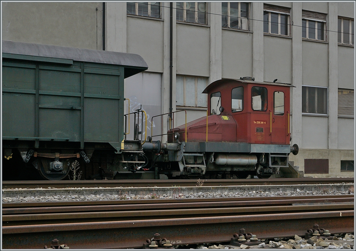 Der Tm 236 341-4 steht mit Güterwagen an der Rampe und wartet auf seinen nächsten Einsatz.

21. Sept. 2020