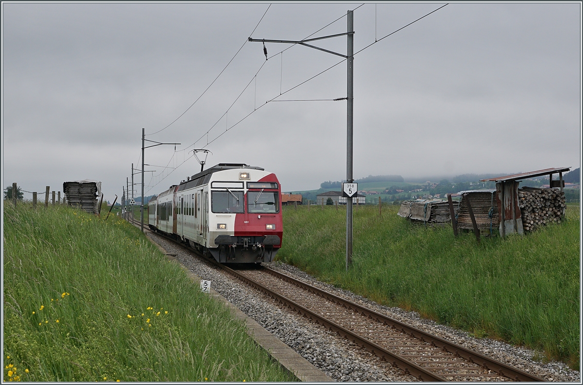 Der TPF RBDe 567 181 Pendelzug ist als RE 4020 ist kurz vor Vaulruz von Fribourg nach Bulle unterwegs. Interessant, wie der Bahndamm als Lagerplatz genutzt wird, was nicht nur praktisch, sondern auch fotogen ist.

12. Mai 2020 