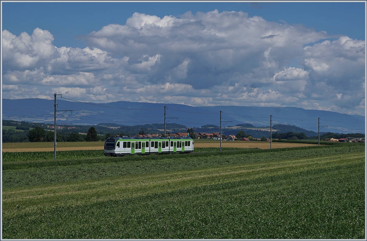 Die LEB wird auch  La Ligne Verte  (Die Grüne Linie) genannt, wobei ein Blick auf die vielen Grüntöne zeigt, dass diese Bezeichnung mehr als passend ist. Der neue LEB Be 4/8 61 ist von Lausanne Flon kommend zwischen Fey und Bercher unterwegs.

25. Juli 2020
