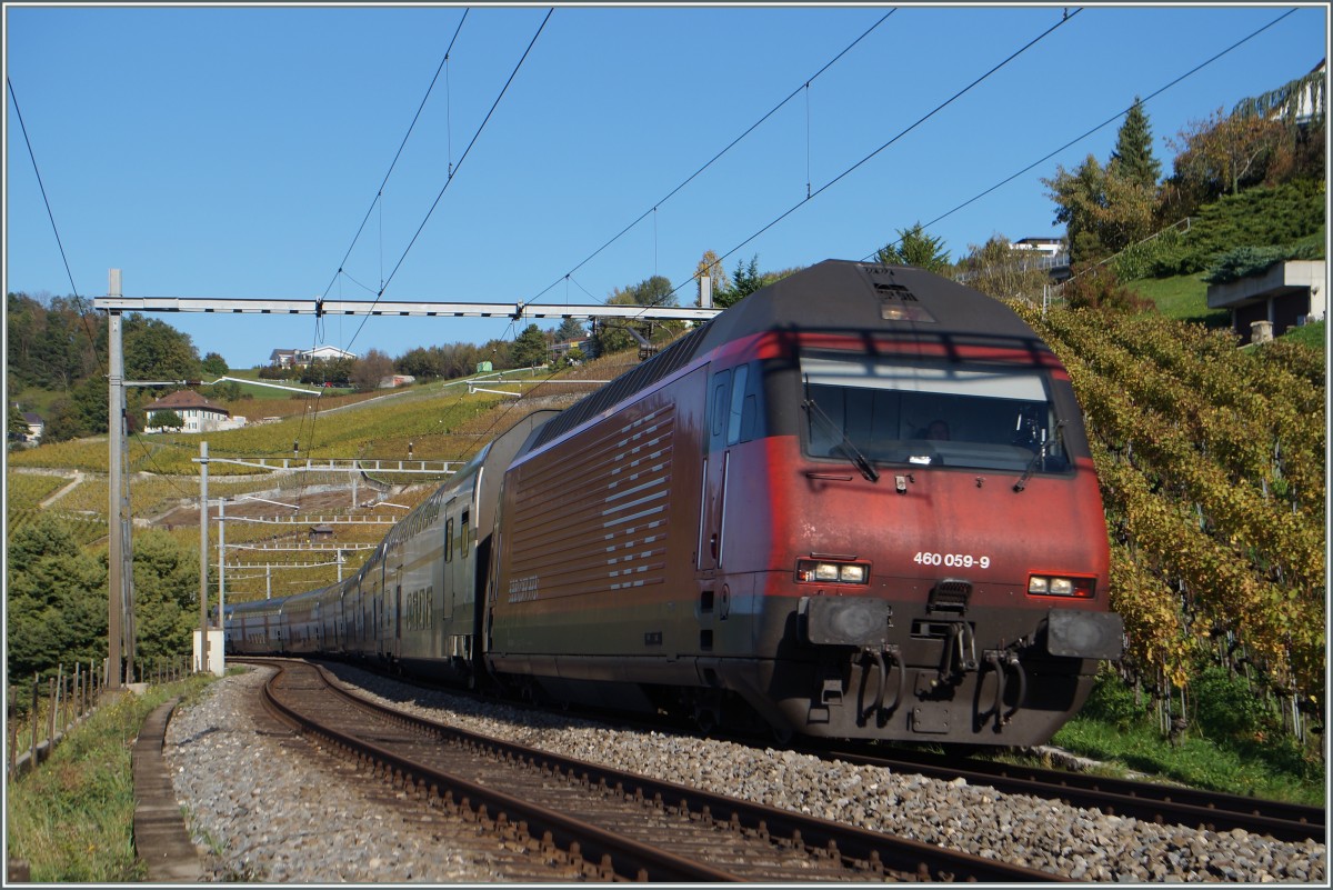 Die Re 460 059-9 mit dem IC 723 von Genève nach St. Gallen bei Grandvaux.
23 Okt. 2014