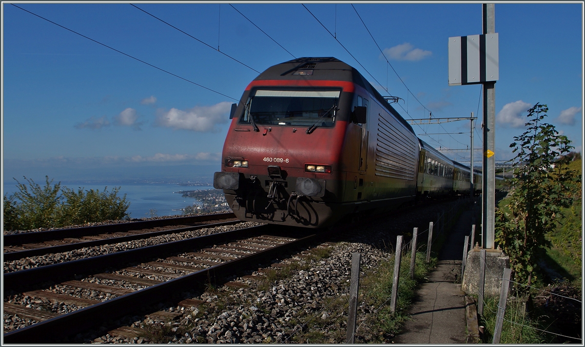 Die Re 460 089-6 lässt trotz ihrer Dominanz noch eine Blick frei.
Zwischen Bossière und Grandvaux, den 23. Okt. 2014