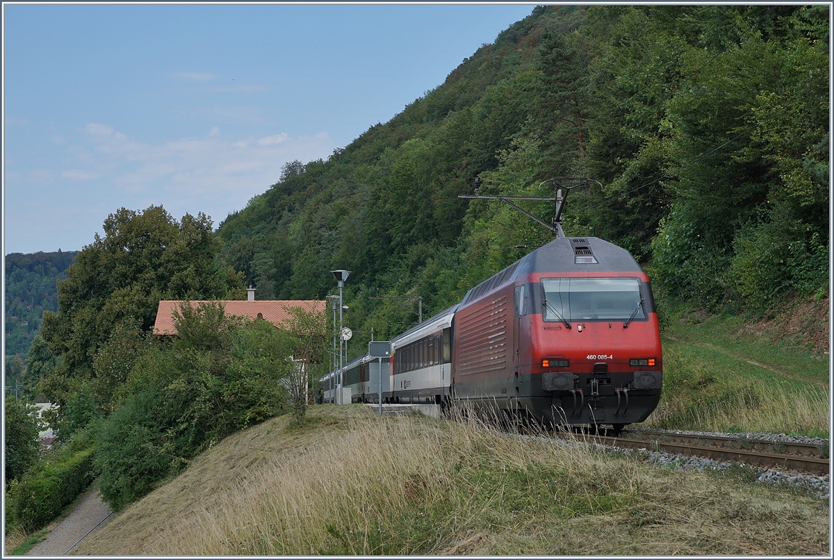 Die SBB Re 460 085-4 mit einem umgeleiteten IR nach Basel bei der Haltestelle Rümlingen. 

7. Aug. 2018 