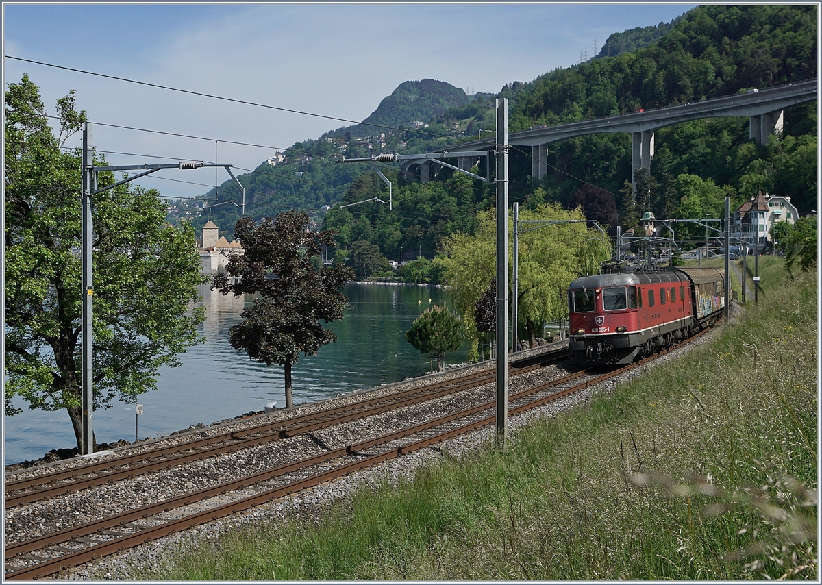 Die SBB Re 6/6 11685 (RE 620 085-1)  Sulgen  mit einem Güterzug kurz vor Villeneuve; im Hintergrund das Château de Chillon. 

8. Mai 2020