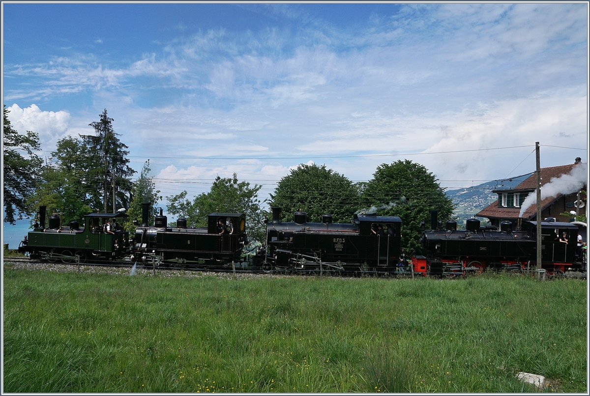 Die vier kleine Dampfloks bei Coraux haben fast keinem Platz auf dem Bild: Es sind zu sehen:  Vorneweg die 1890 gebaute LEB G 3/3 N° 5, dann die JS / BAM G 3/3 909 / 6 von 1901, gefolgt von der BFD HG 3/4 3 von 1913 und am Schluss die G 2x 2/2 105 von 1918 der SEG. 
3. Juni 2017