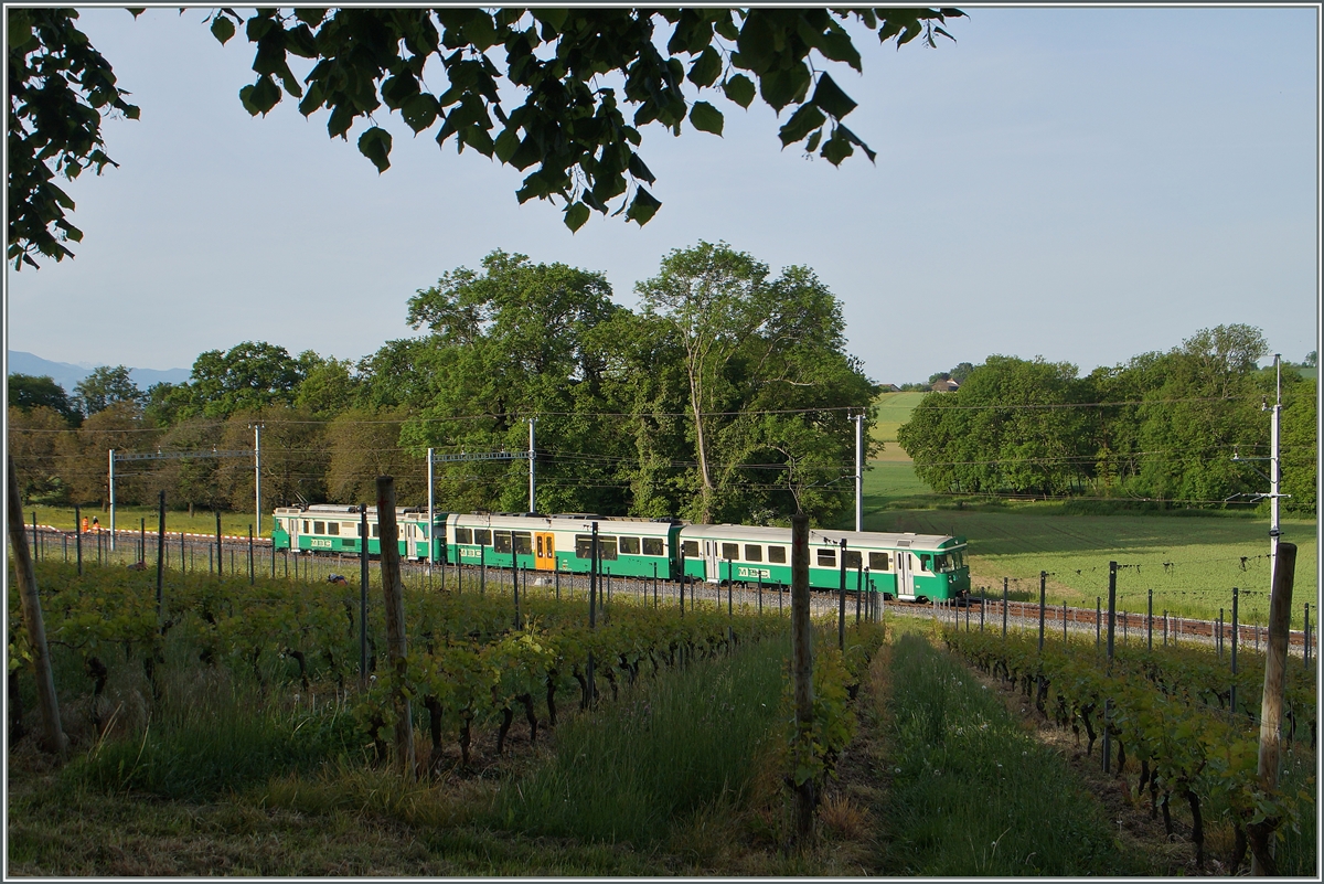 Durch die Rebberge nördlich von Morges fotogarfiert: ein BAM MBC Regionalzug ist bei Vufflens le Château auf dem Weg nach Bière.

12. Mai 2015