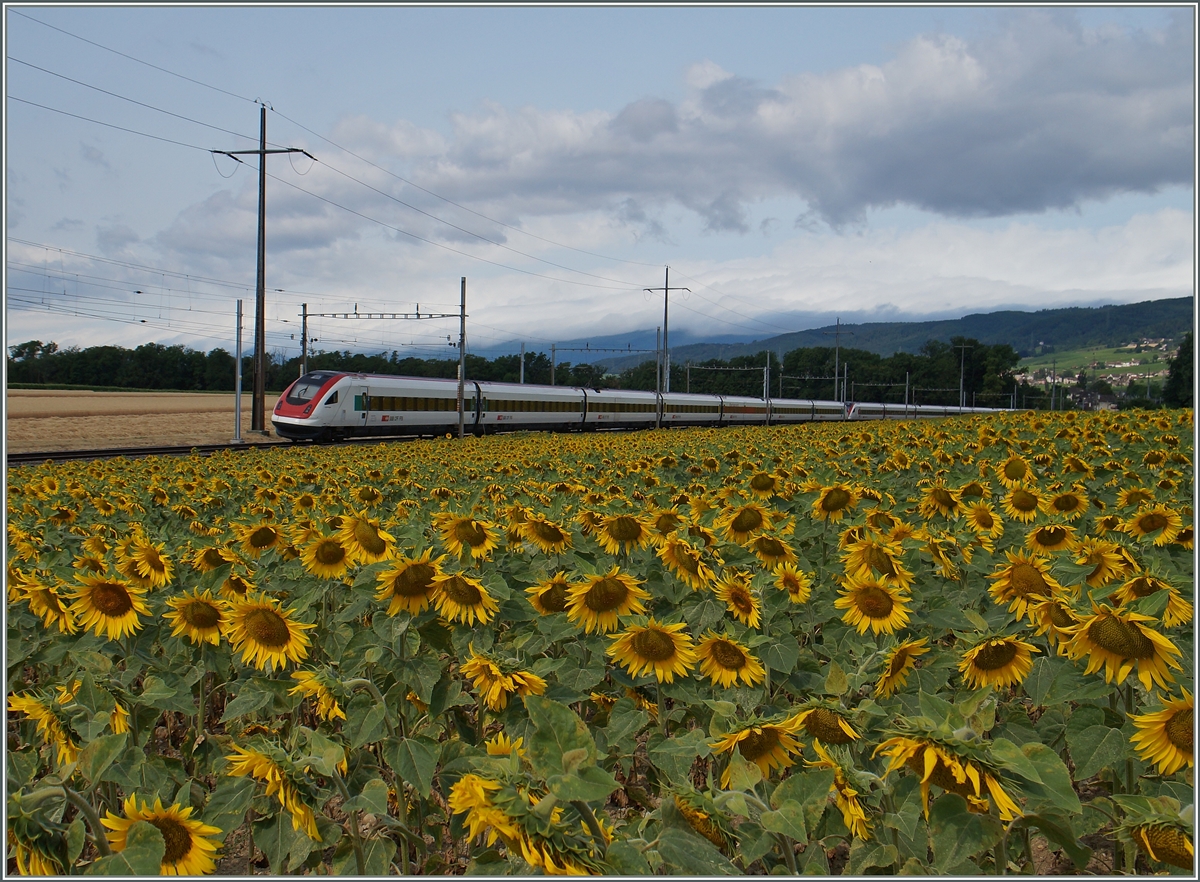 Ein ICN auf der Fahrt nach Genève kurz nach Allaman.
8. Juli 2015