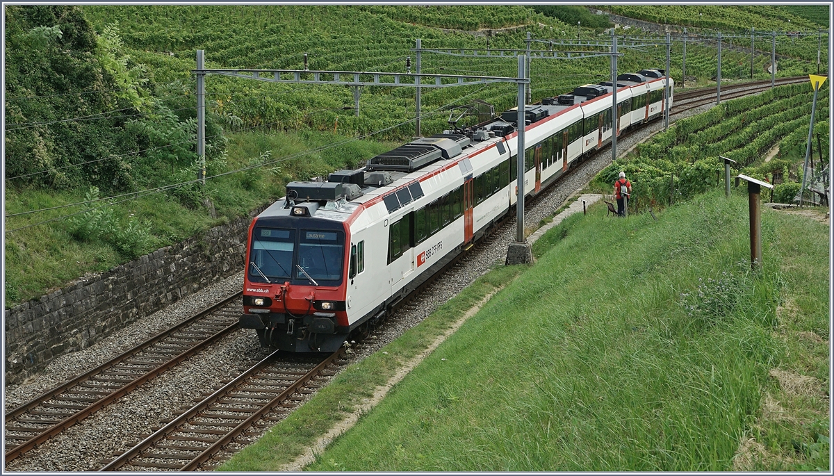 Ein RBDe 560 Domino als S24 auf der Fahrt Richtung Lausanne zwischen Grandvaux und Bossière.
6. Sept. 2017