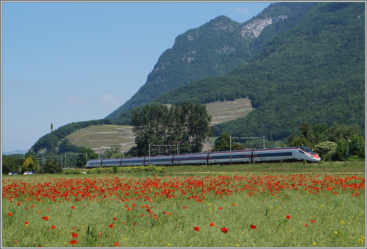 Ein SBB ETR 610 als EC 32 auf dem Weg nach Genève zwischen Yvoire und Roche VD.
27. Mai 2015
